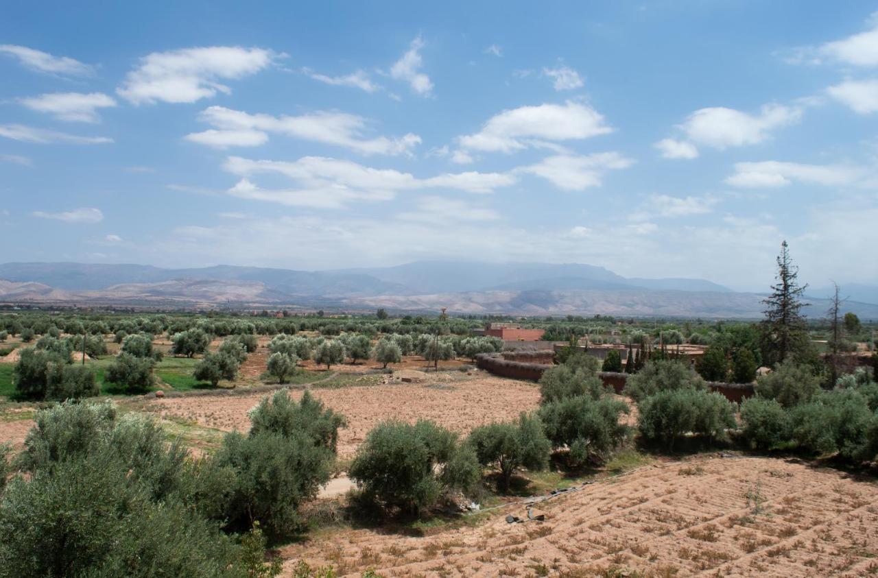 Dar Fatima Tamazouzt Otel Tamazouzte  Dış mekan fotoğraf